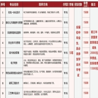 云南錫業(yè)職業(yè)技術學院2024年有哪些專業(yè)？